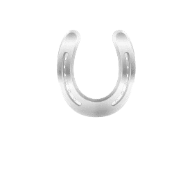 Horse shoes perth