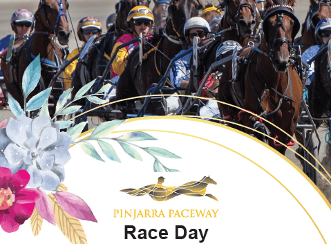 Race Book Cover