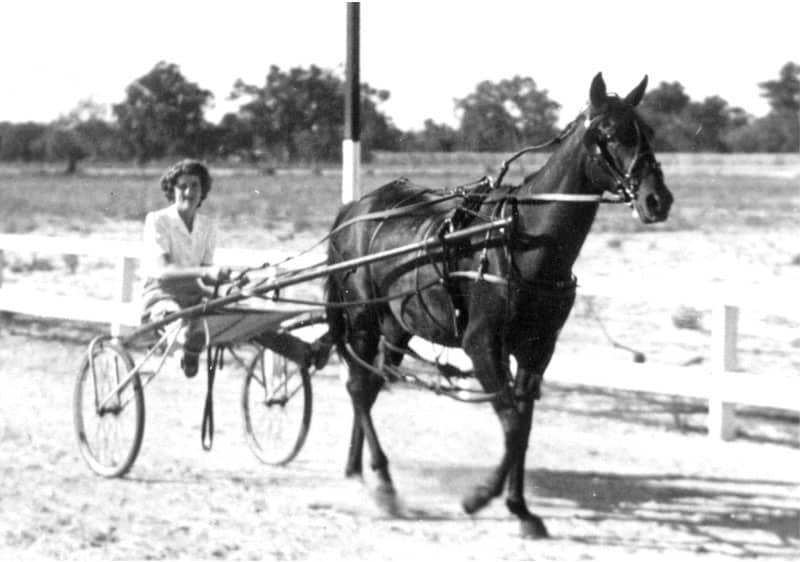 elise logue nee adam driving pantac on the first track of the pinjarra trottinh track in 1952