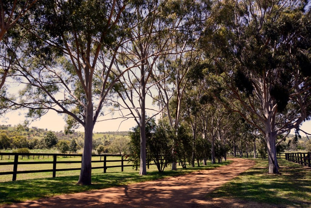 Allwood Stud Farm Entrance 1024x683 1