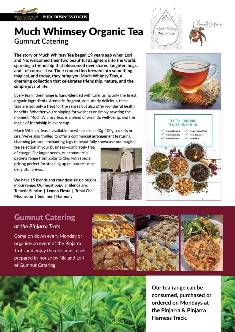 Much Whimsy Organic Tea Business Focus 2023