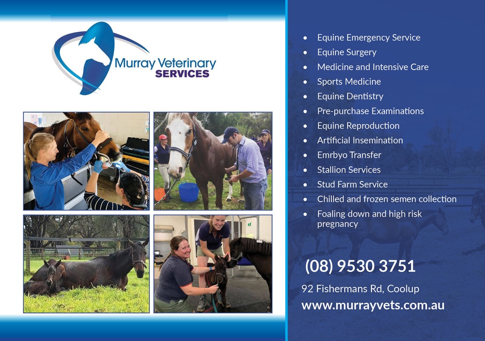Murray Vets A5