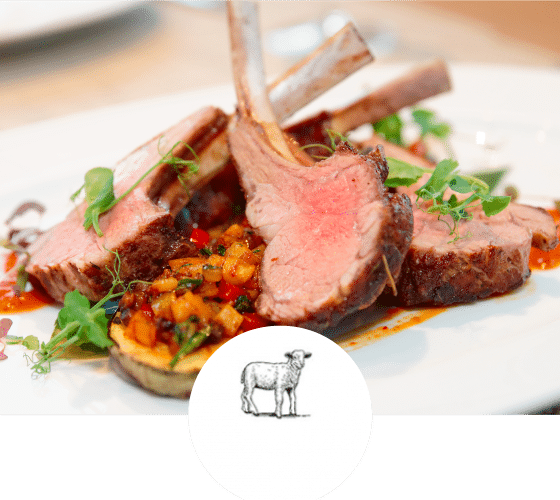 Lamb Final