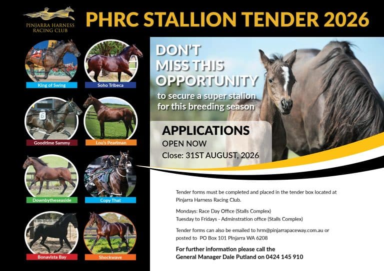 Stallion tender website