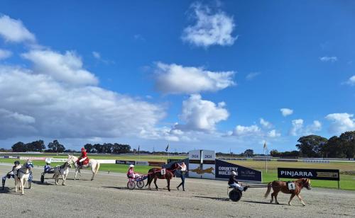 South West Pony Trots